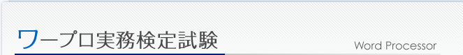 ���[�v���������莎��
